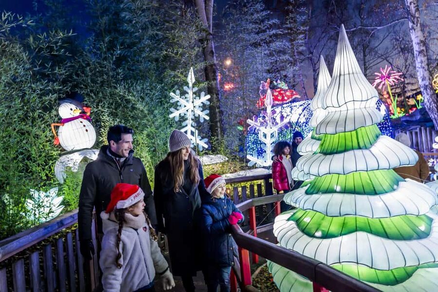 Paris: Parc Astérix Full-Day Entrance Ticket - Family rides that keep the group together