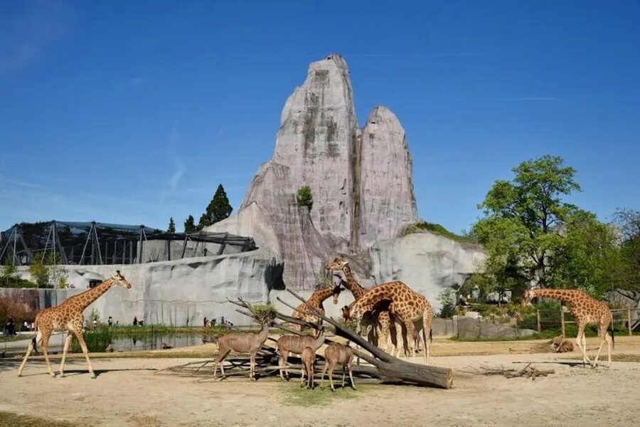 Paris: Paris Zoological Park Entrance Ticket - The African zone has the biggest visual impact