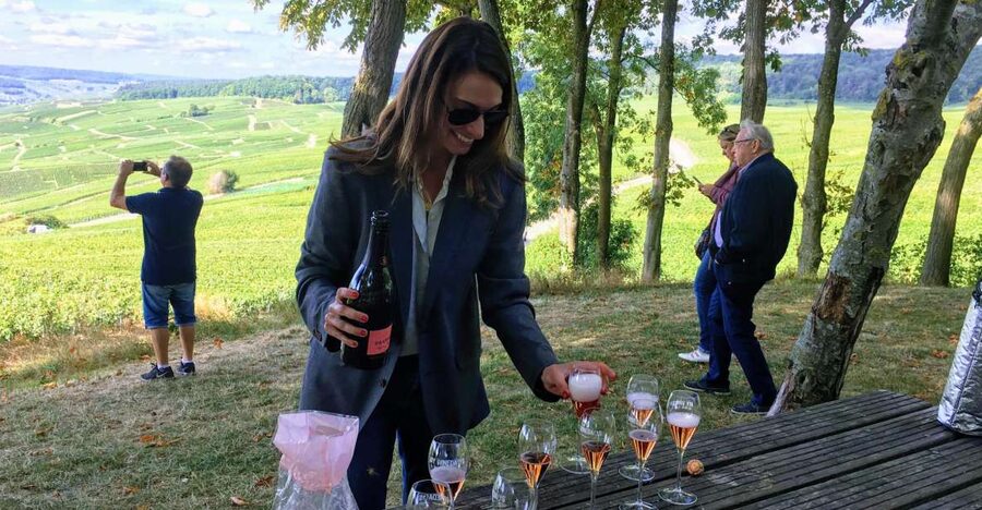 Paris: Private Day Trip to Champagne with 8 Tastings & Lunch - The masterclass turns tasting into understanding