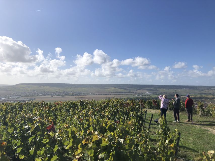 Paris: Private Day Trip to Champagne with 8 Tastings & Lunch - Épernay and the Avenue of Champagne