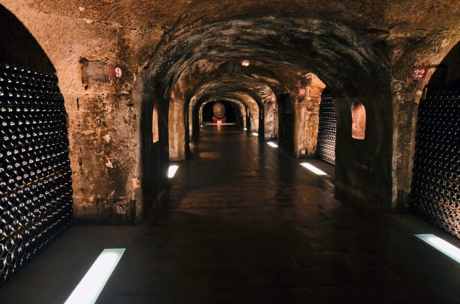 Paris: Private Day Trip to Champagne with 8 Tastings & Lunch - The smaller winery adds the human touch