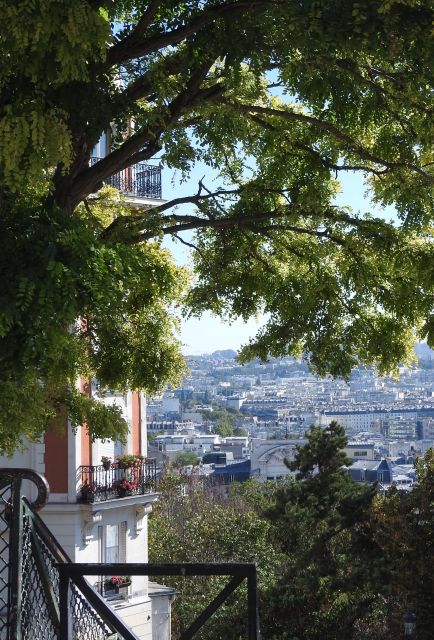 Paris: Sacré-Coeur and Montmartre Tour with Expert Guide - What the one-hour length means for you