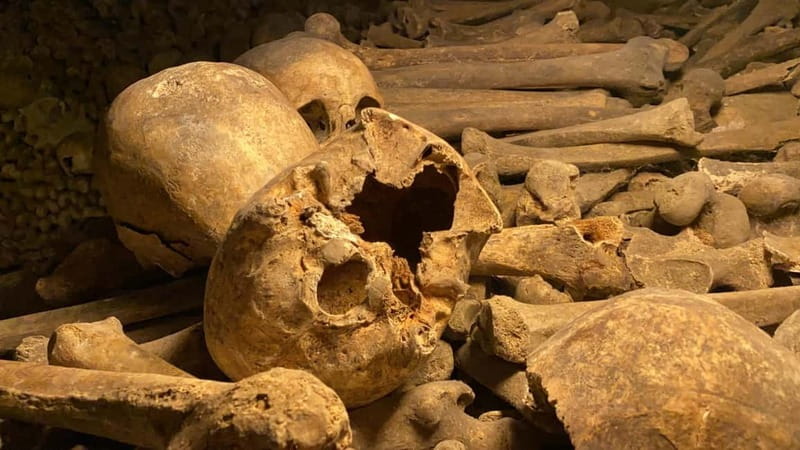 Paris: Small-Group Catacombs Tour with Skip-the-Line Entry - Why the Paris Catacombs feel unlike any museum