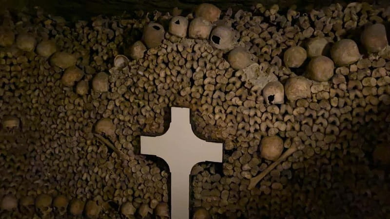Paris: Small-Group Catacombs Tour with Skip-the-Line Entry - Restricted passages make the higher price easier to judge