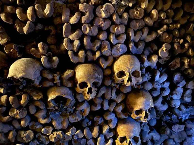 Paris: Small-Group Catacombs Tour with Skip-the-Line Entry - From wartime bunkers to cataphile graffiti