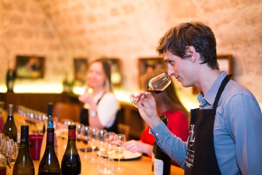 Paris: The Ultimate Wine and Cheese Tasting in English - What the English wine lesson actually teaches