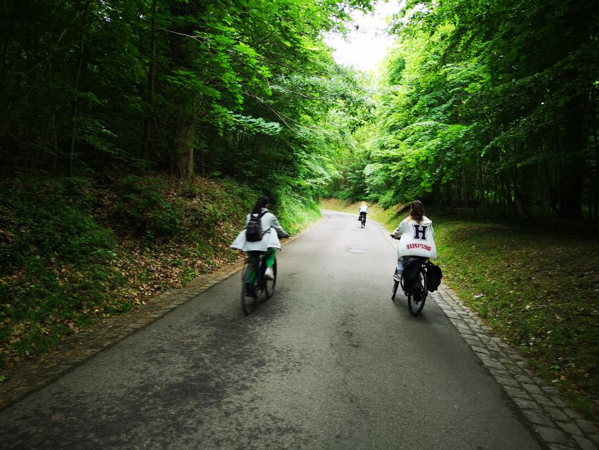 Paris: Versailles Palace and Queen Hamlet E-Bike Tour - The gardens and palace interiors