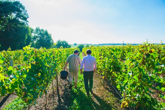 Picnic in the Vines - A Unique Loire Wine Experience - Walking the vines and learning about terroir