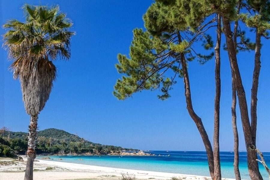 Porticcio: Coastal Train Ticket with Audio Guide & Tastings - Weather, comfort, and what to bring