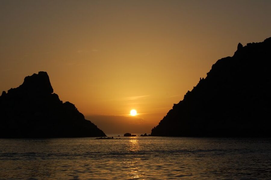 Porto: Half-Day Cruise Scandola Reserve & Calanche de Piana - What the $82 price really covers