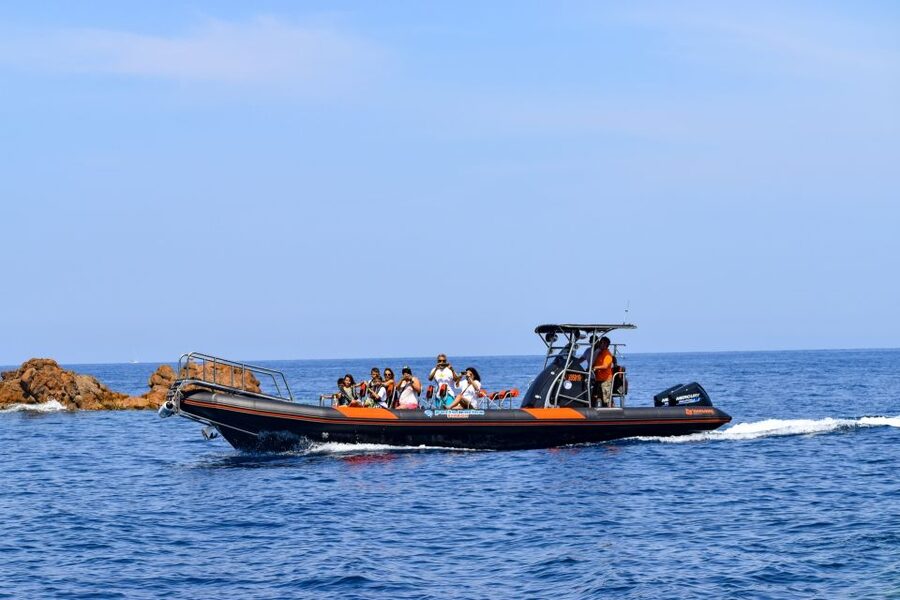 Porto: Scandola and Calanches of Piana Boat Trip - The Girolata stop and swimming limits