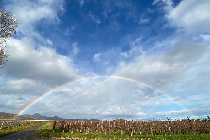 Private and customizable: Alsace Wine Route HIGHLIGHTS in 3 hours - Eguisheim: a circular village with a storybook feel