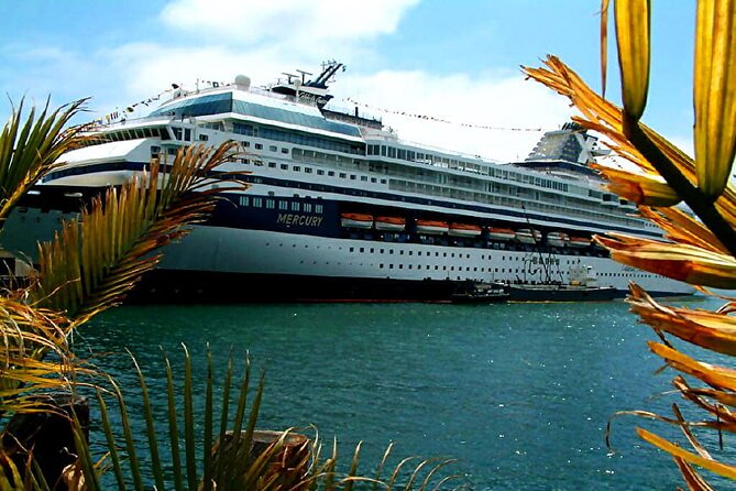 Private Customized French Riviera Tour from Port of Cannes 8H - Cannes at 9 a.m., starting with movie glamour