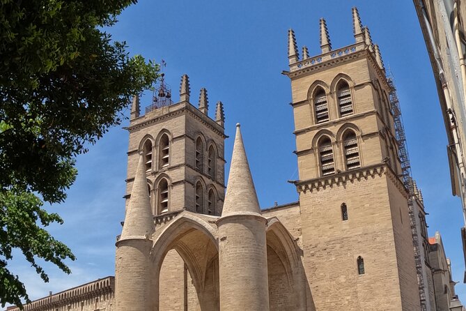 Private Discovery of Montpellier by Bike-Taxi - Saint Clément Aqueduct and the Pic Saint-Loup view