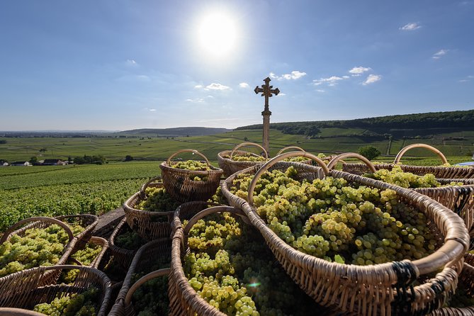 Private excursion to Côte de Beaune and Côte de Nuits (full day) - Key points at a glance