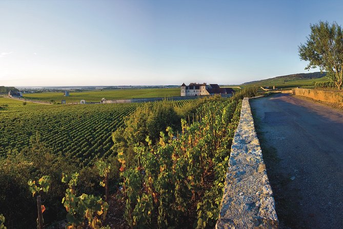 Private excursion to Côte de Beaune and Côte de Nuits (full day) - Starting at 9:30 from Beaune, Dijon, or Chagny