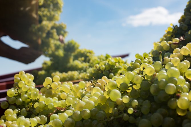 Private excursion to Côte de Beaune and Côte de Nuits (full day) - Lunch beside the route, with the table reserved for you