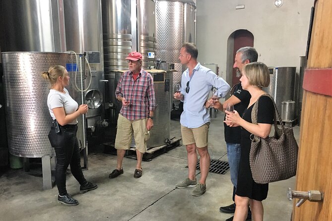 Private Full Day Wine Tour in Provence - A private minivan makes the logistics easy