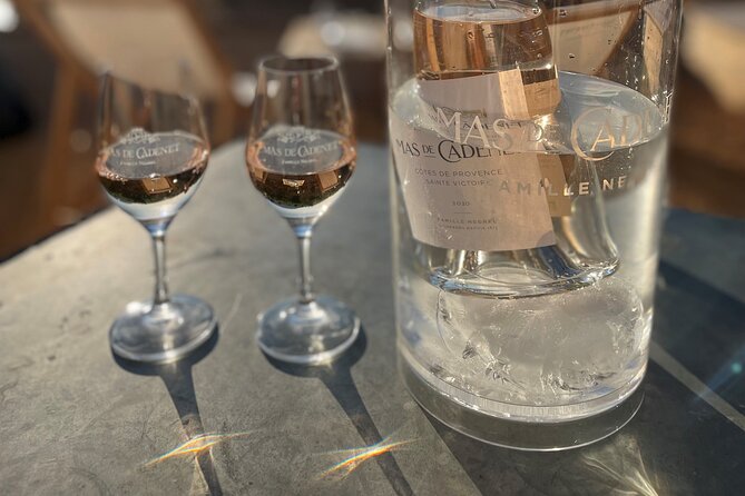 Private Full Day Wine Tour in Provence - What the guides add to the day