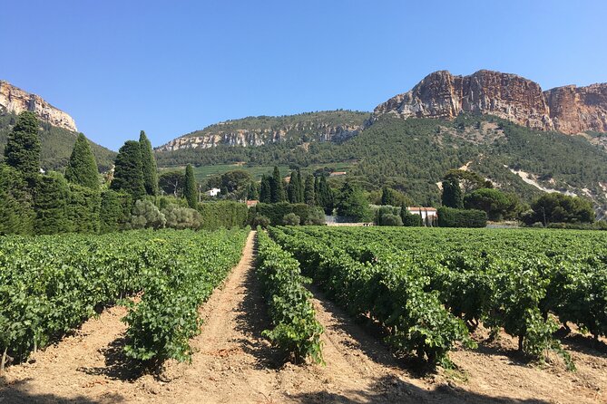 Private Full Day Wine Tour in Provence From Marseille cruise port - Cassis, Aix-en-Provence, or Lourmarin for lunch