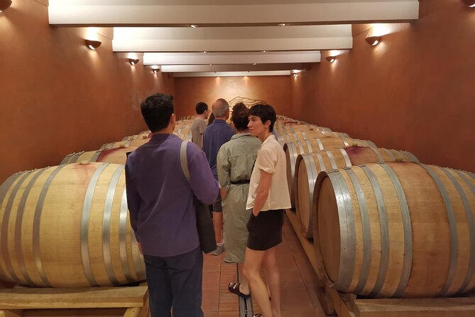 Private Full Day Wine Tour in Provence From Marseille cruise port - Practical details before you book