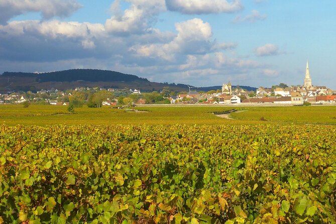 Private Guided Sidecar Tour in Burgundy from Meursault - Saint-Christophe for another exceptional viewpoint