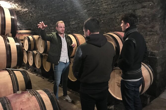 Private Wine Tasting Tour - Burgundy Uncorked!! - Tasting six wines with a Santenay grower