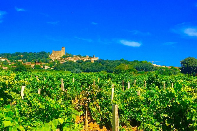 Provence Cru Wine Small-Group Half-Day Tour from Avignon - From Avignon to Gigondas