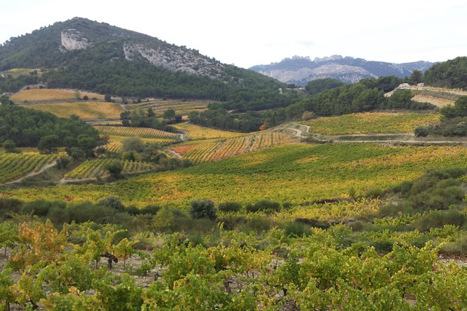 Provence Cru Wine Small-Group Half-Day Tour from Avignon - Understanding Vacqueyras and the Cru system