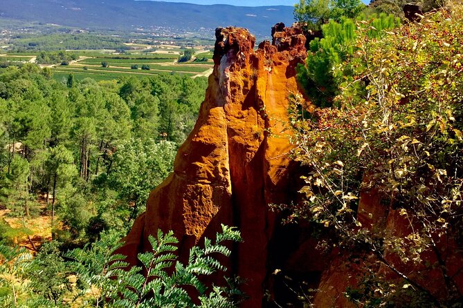 Provence Highlights Full-Day Tour from Avignon - Senanque Abbey is a seasonal photo stop