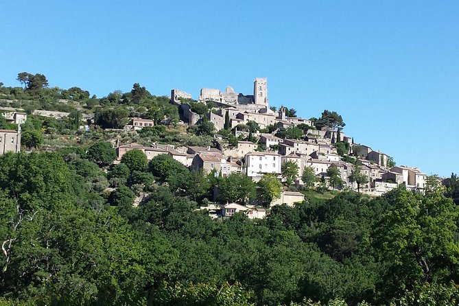 Provence Highlights Full-Day Tour from Avignon - Saint-Rémy shows a gentler Provençal side