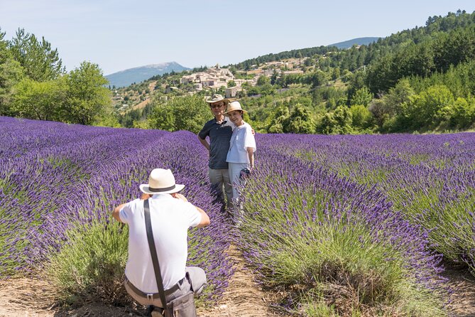 Provence Lavender Full Day Tour from Avignon - From Avignon to the First Lavender Fields