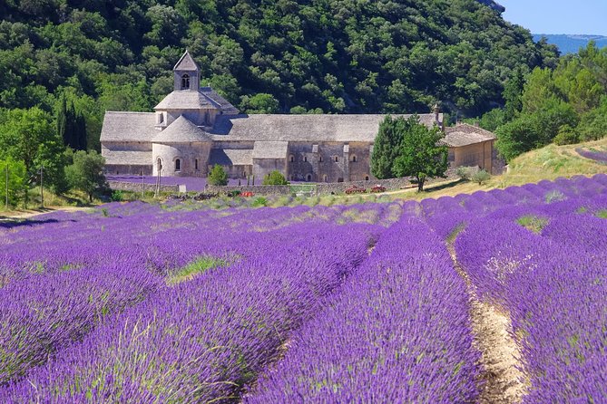 Provence Lavender Full Day Tour from Avignon - Roussillon and the Ochre Country