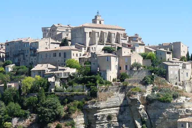 Provence Lavender Full Day Tour from Avignon - Price, Pace, and What You Receive