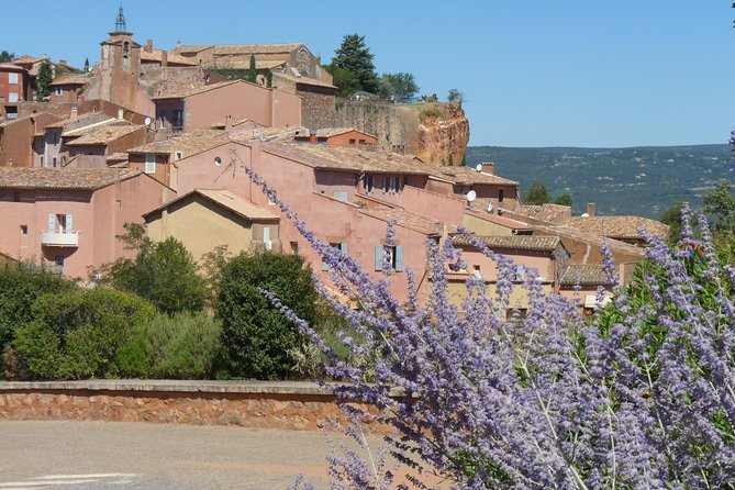 Provence Lavender Full Day Tour from Avignon - When to Book and What to Pack