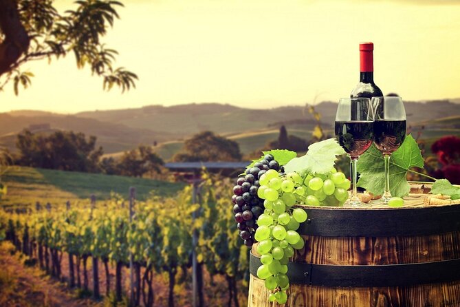 Provence Organic Wine Tasting Half Day Tour from Nice - The 2:00 pm pickup from Nice