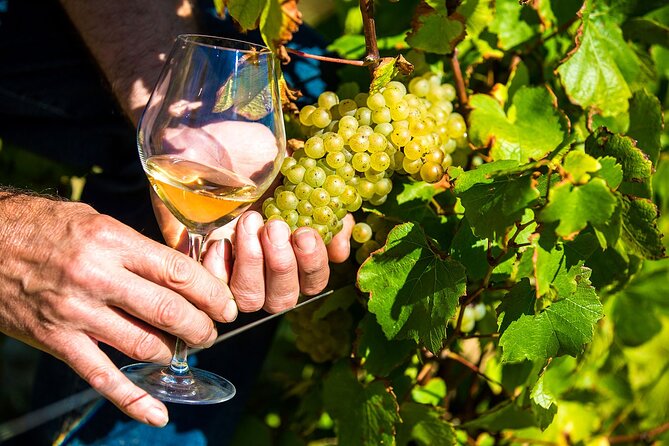 Provence Organic Wine Tasting Half Day Tour from Nice - St-Paul-de-Vence: beautiful, but often too brief