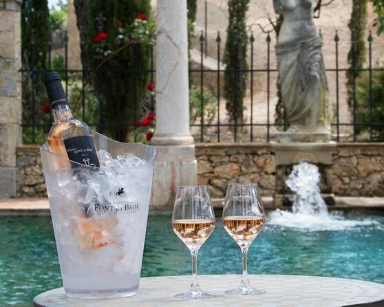 Provence Wine Tour - Private Day Tour from Cannes - Quick takeaways from the vineyards