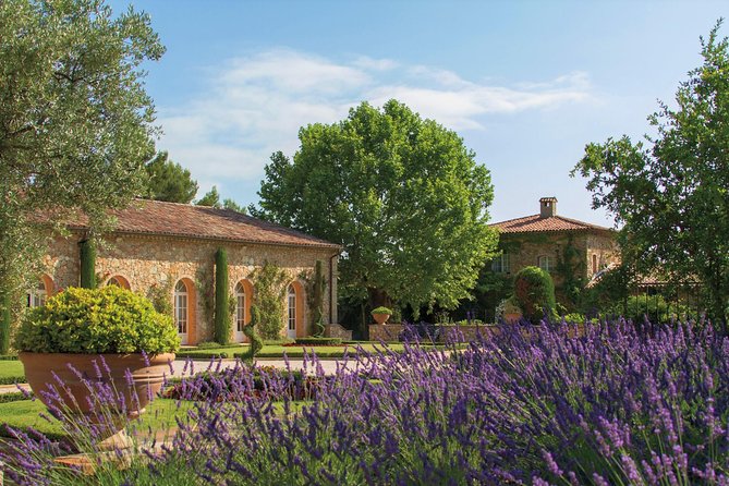 Provence Wine Tour - Private Day Tour from Cannes - Lunch in a village or at a vineyard
