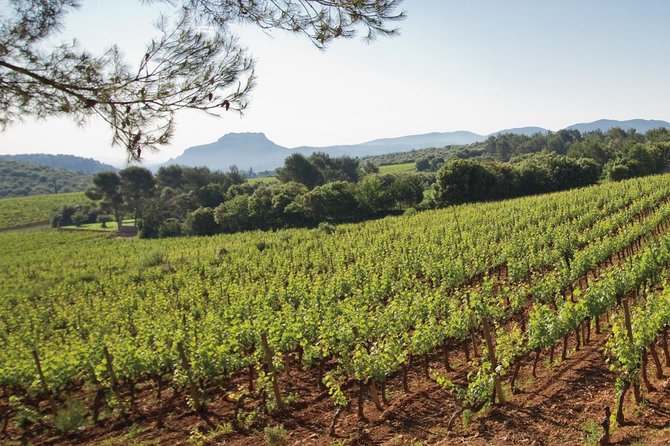 Provence Wine Tour - Private Day Tour from Cannes - Is $539.22 per person good value?