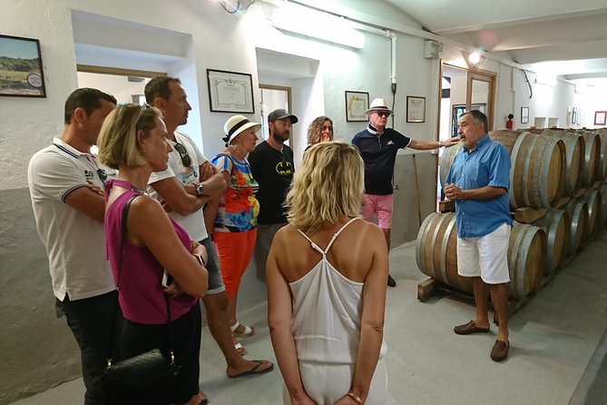 Provence Wine Tour - Private Day Tour from Nice - What the $578.08 price really buys you