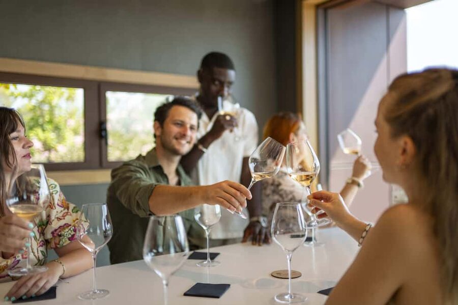 Provence Wine Tour - Small Group Tour from Cannes - Practical details for a smooth day
