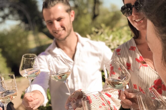 Provence Wine Tour - Small Group Tour from Cannes - About 15 wines, and how to pace yourself