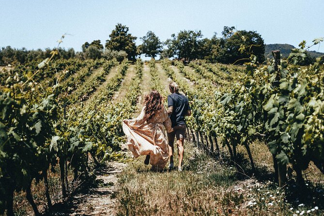 Provence Wine Tour - Small Group Tour from Nice - Lunch in a Provençal village or at a vineyard