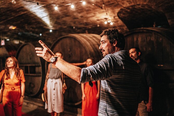 Provence Wine Tour - Small Group Tour from Nice - Who should book this tour