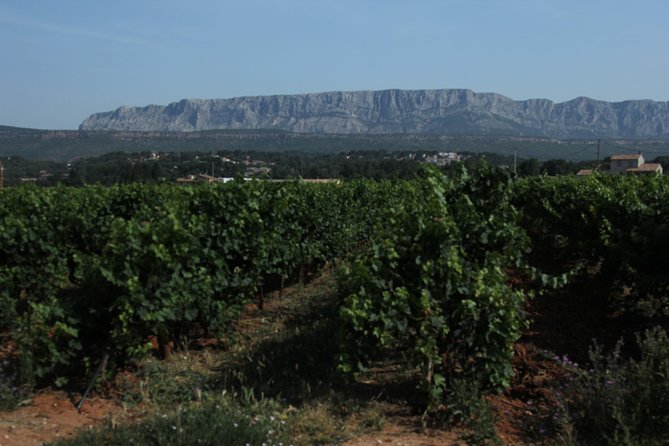 Provence Wineries and Luberon Villages Day Trip from Aix-en-Provence - The midday return to Aix-en-Provence