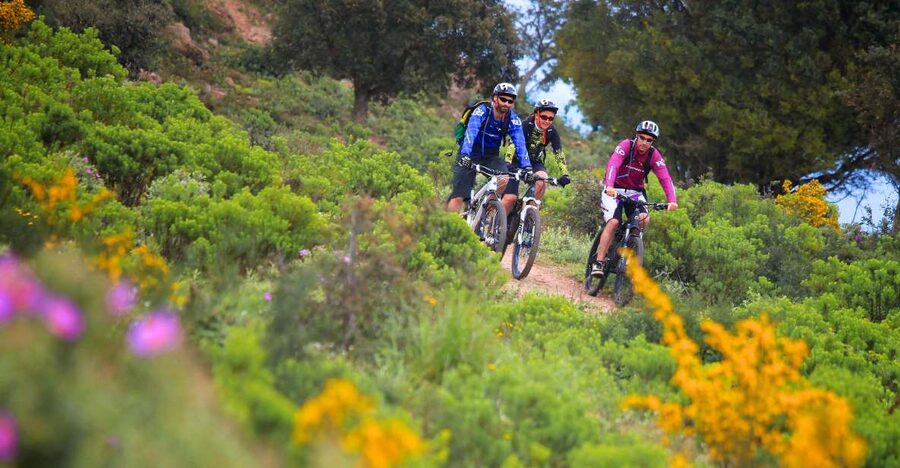 Ramatuelle: Tracks & Tasting Winery Tour by Mountain E-Bike - Starting at Kon Tiki near the Route des Plages