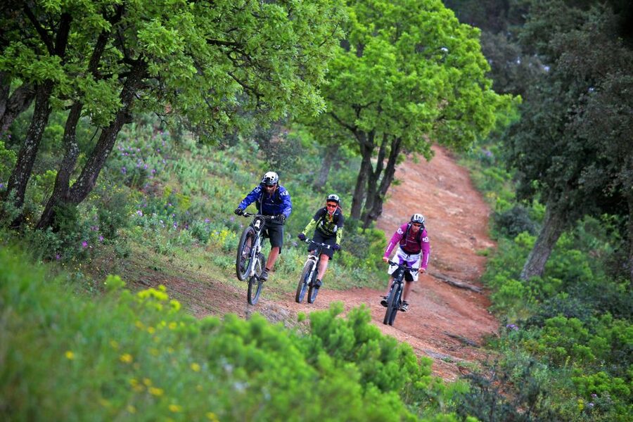 Ramatuelle: Tracks & Tasting Winery Tour by Mountain E-Bike - Riding from seaside paths to forest tracks