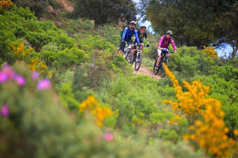 Ramatuelle: Tracks & Tasting Winery Tour by Mountain E-Bike - Visiting several private estates around Ramatuelle