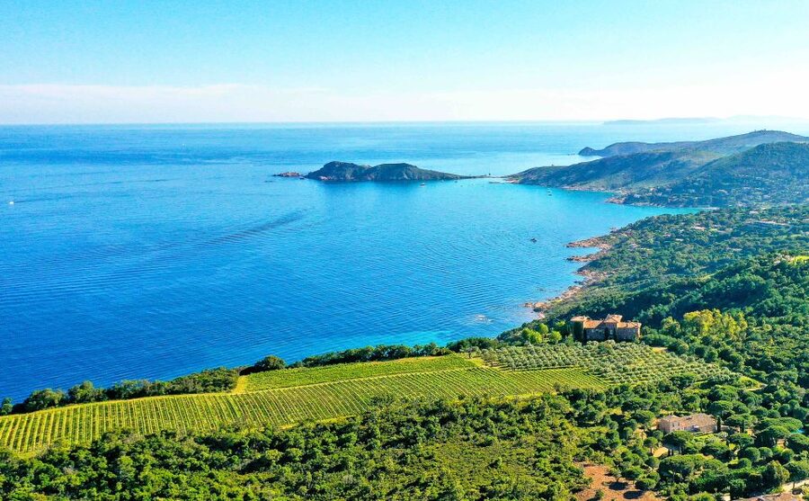 Ramatuelle: Tracks & Tasting Winery Tour by Mountain E-Bike - Choosing between doubletracks and singletracks